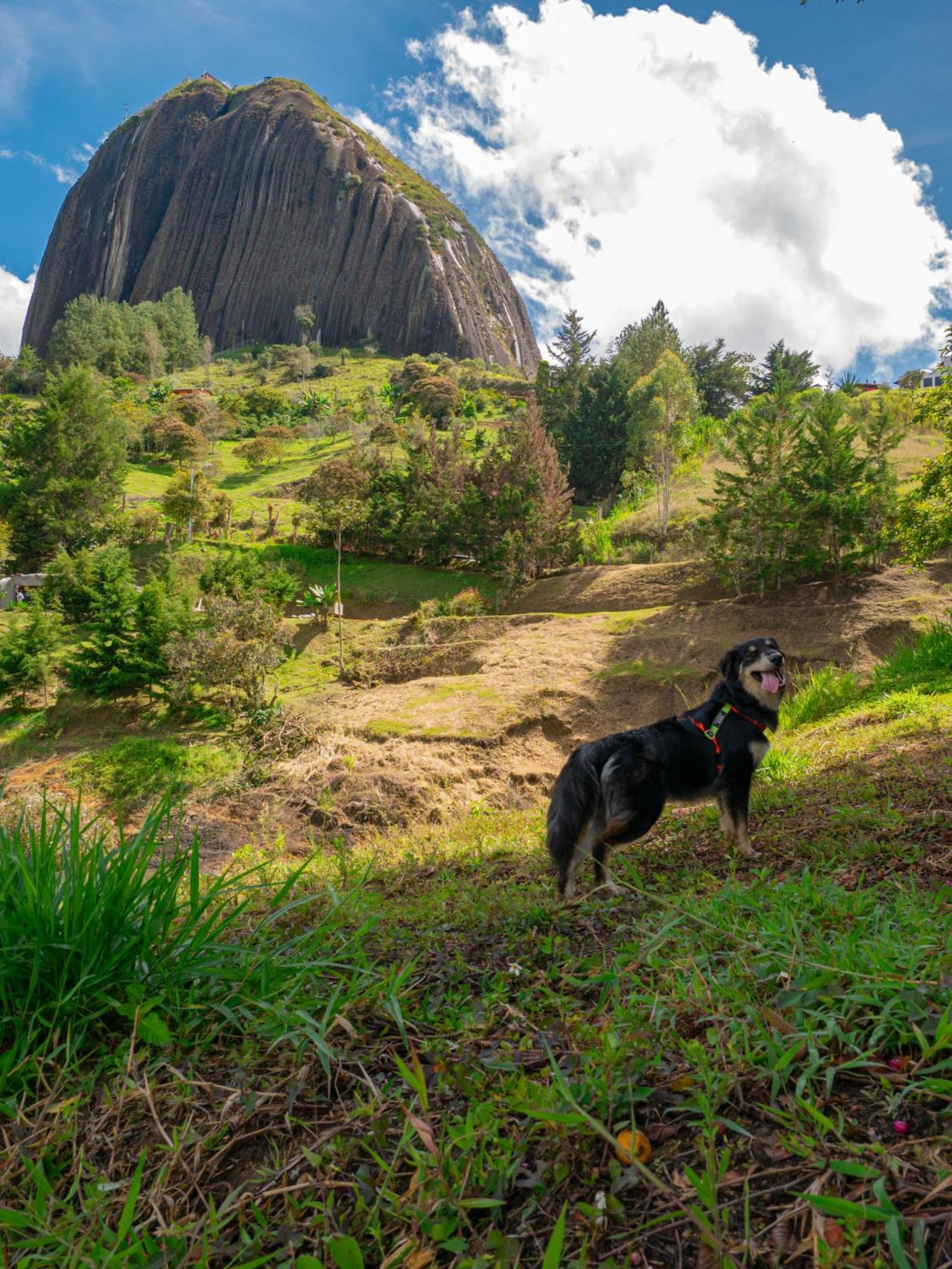 Descanso Bajo La Piedra Del Penol Guatapé Kültér fotó